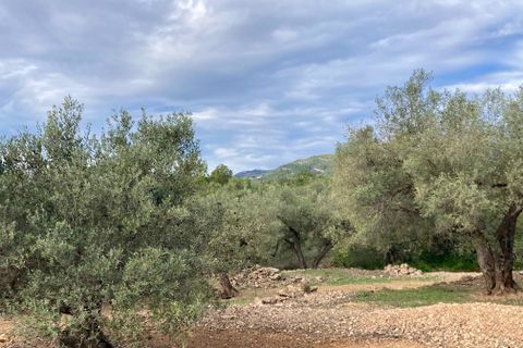 Finca i El Perello, Tarragona, El Perello - € 77.000 | Ref: Finca Manu Ampo - foto 22